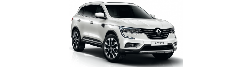 KOLEOS 2017-