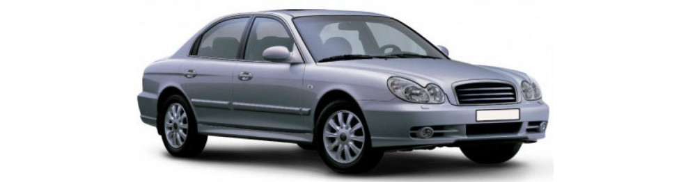 SONATA (ТАГАЗ) 2004-2011