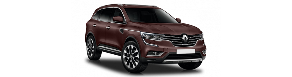 KOLEOS 2017-