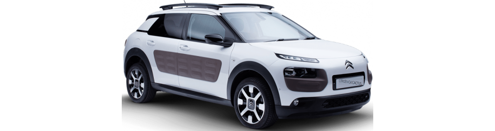 C4 CACTUS