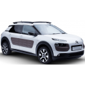 C4 CACTUS