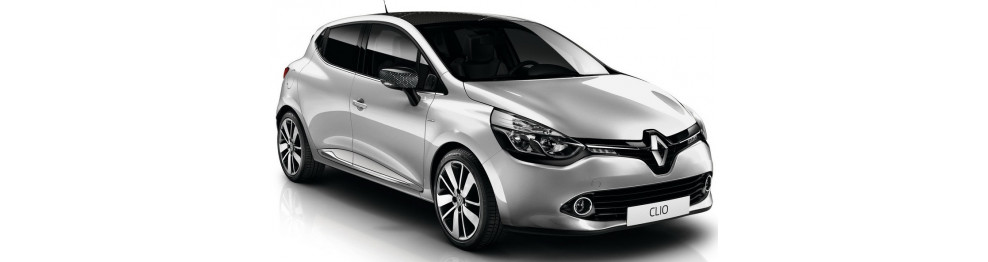 CLIO 2012-