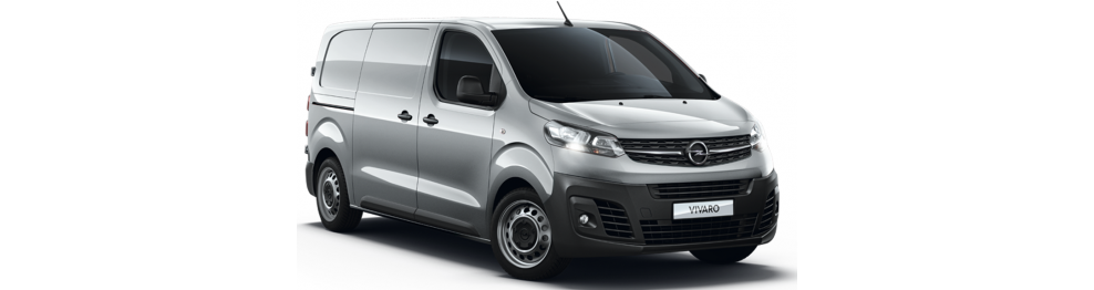 VIVARO 2019-