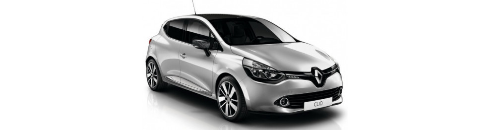 CLIO 2012-