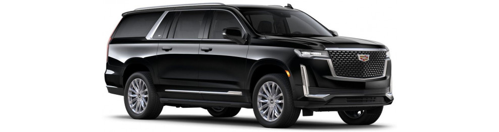 ESCALADE 2020-