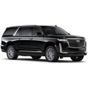 ESCALADE 2020-